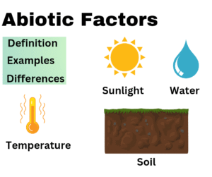 Abiotic Factors- Definition, Examples, Abiotic vs Biotic