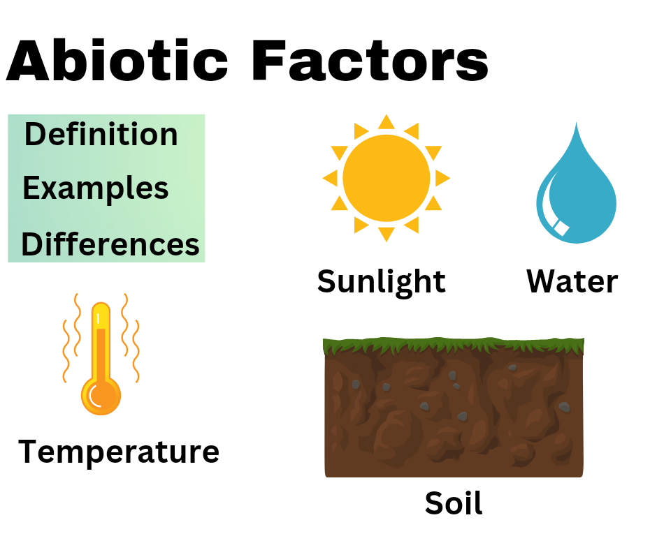 Abiotic Factors- Definition, Examples, Abiotic vs Biotic
