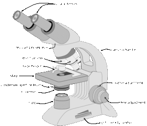 Parts of microscope with labeled diagram