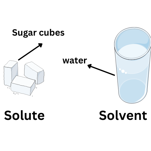 Solute vs Solvent: Definition, Main Differences, Examples