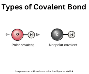 Polar and Non-Polar Covalent Bonds