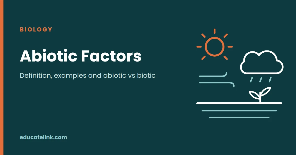 Abiotic Factors: Definition, Examples and Abiotic vs Biotic Factors