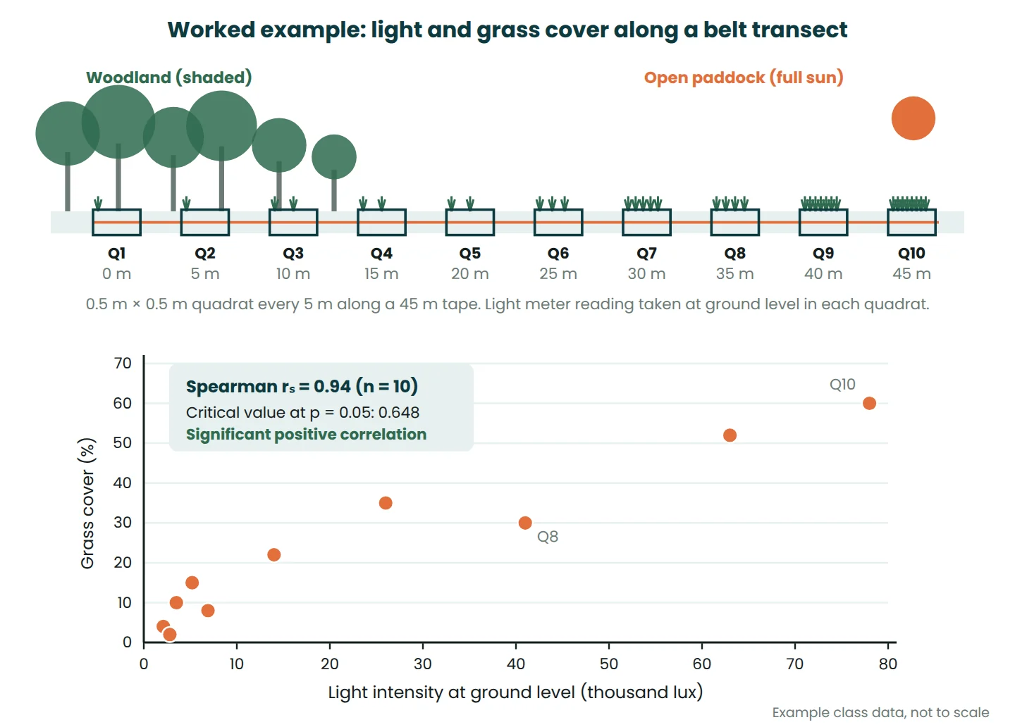 Belt transect from woodland into a paddock with ten quadrats and a scatter graph of grass cover against light intensity