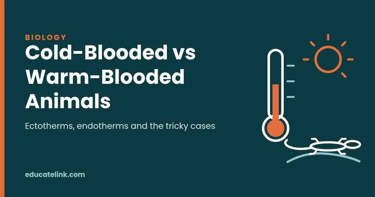 Cold-Blooded vs Warm-Blooded Animals: Definitions, Differences and Examples
