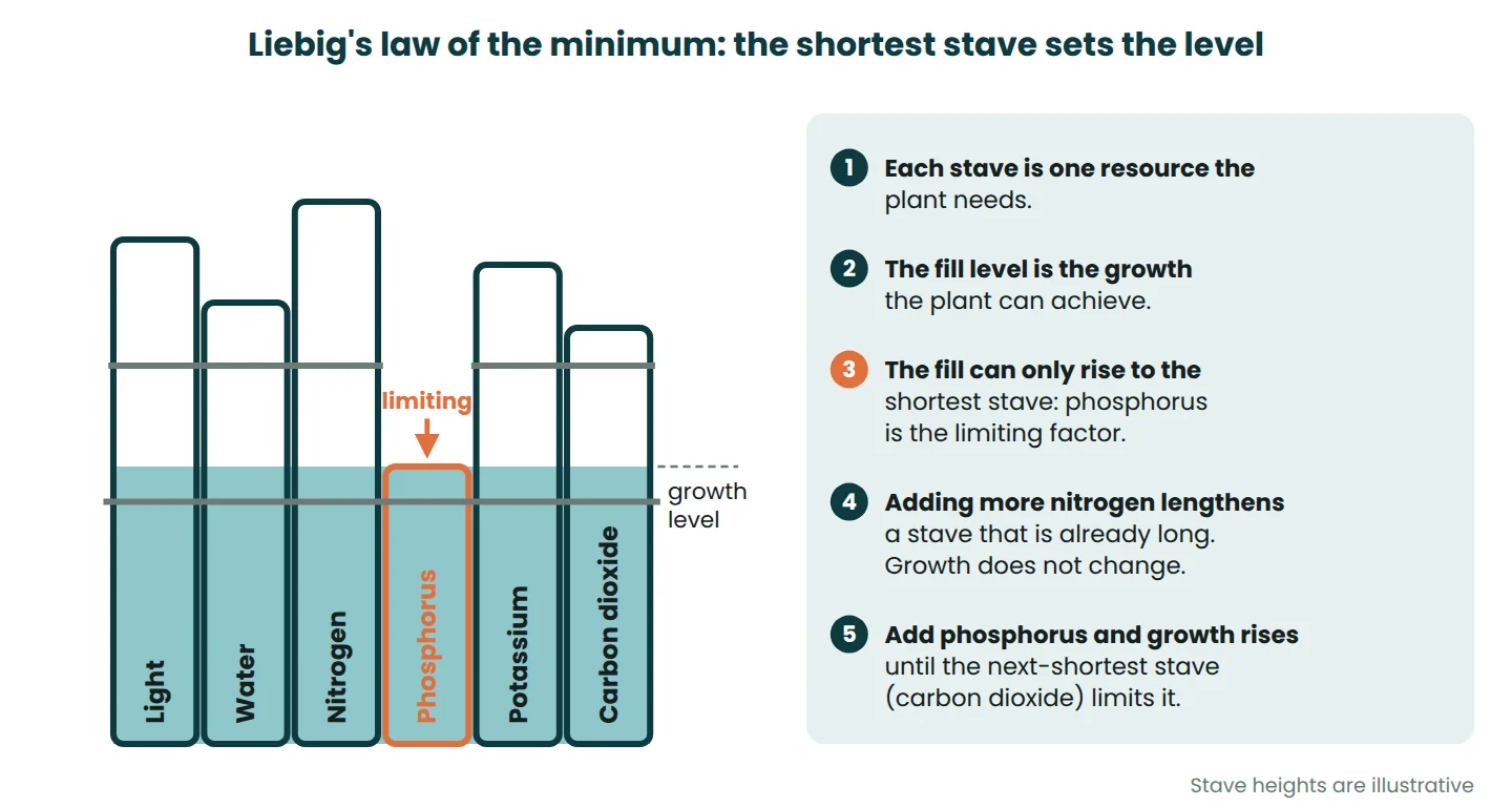 Barrel diagram of Liebig's law of the minimum with staves for light, water, nitrogen, phosphorus, potassium and carbon dioxide