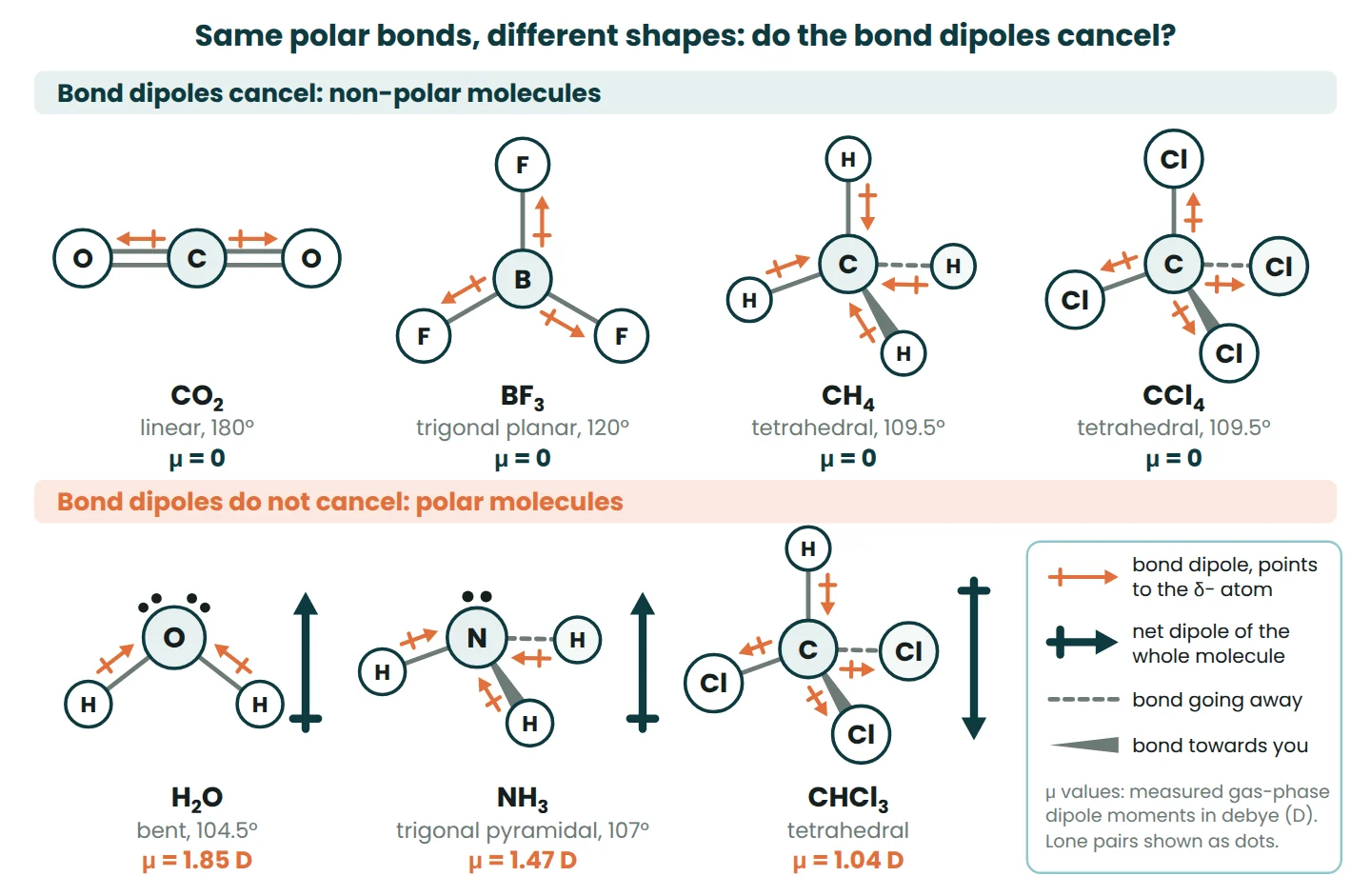 Bond dipole arrows on CO2, BF3, CH4 and CCl4, which cancel, and on H2O, NH3 and CHCl3, which leave a net dipole