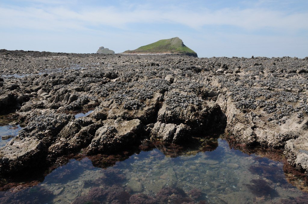 Rock pools on a rocky shore platform at low tide