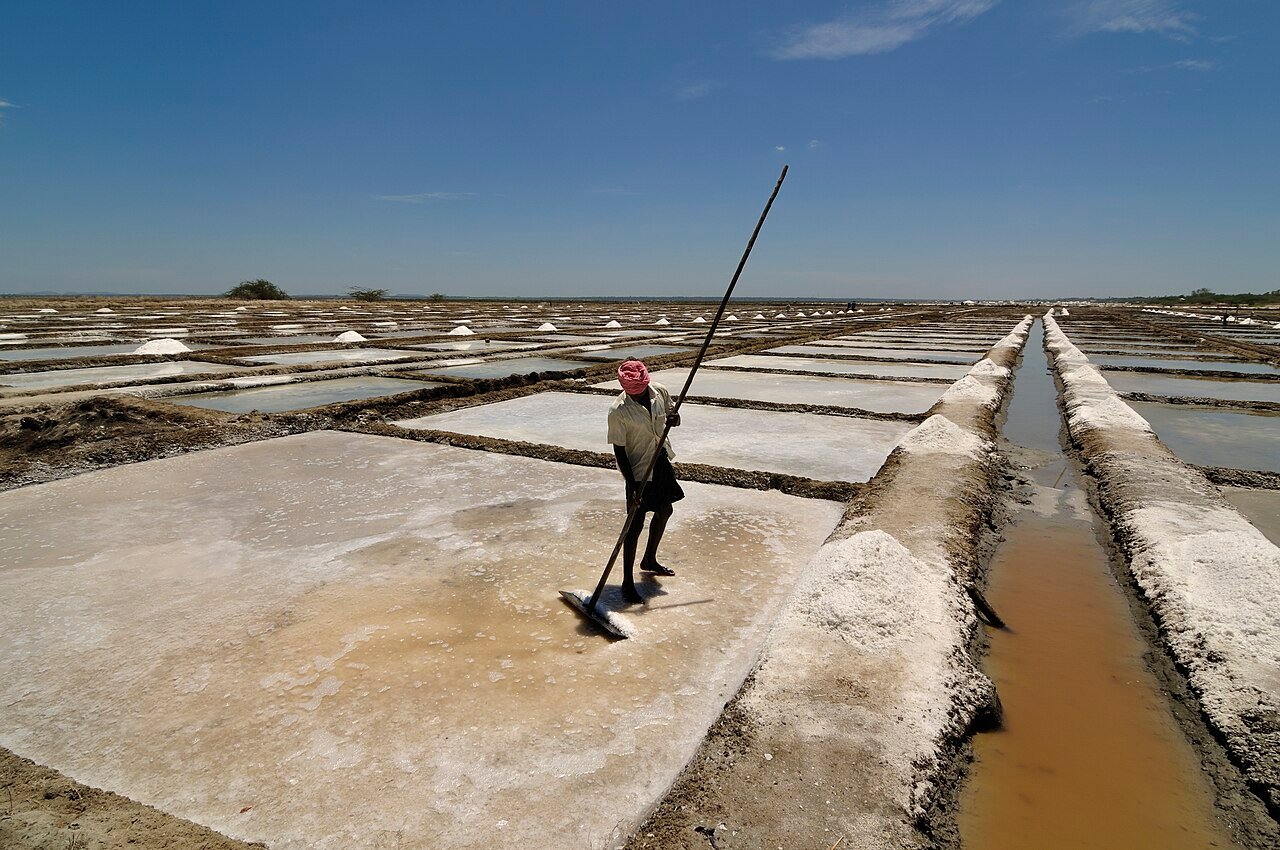 Worker raking salt in shallow evaporation pans
