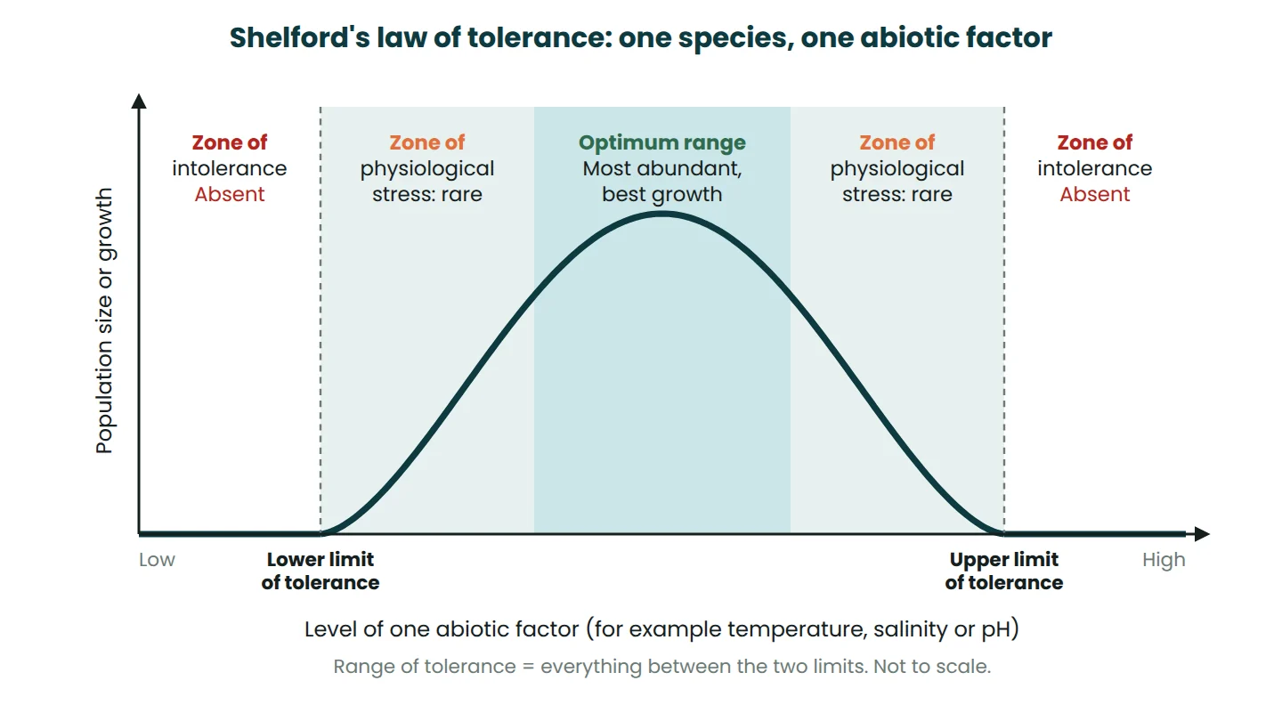 Tolerance curve showing the optimum range, zones of physiological stress, zones of intolerance and the upper and lower limits