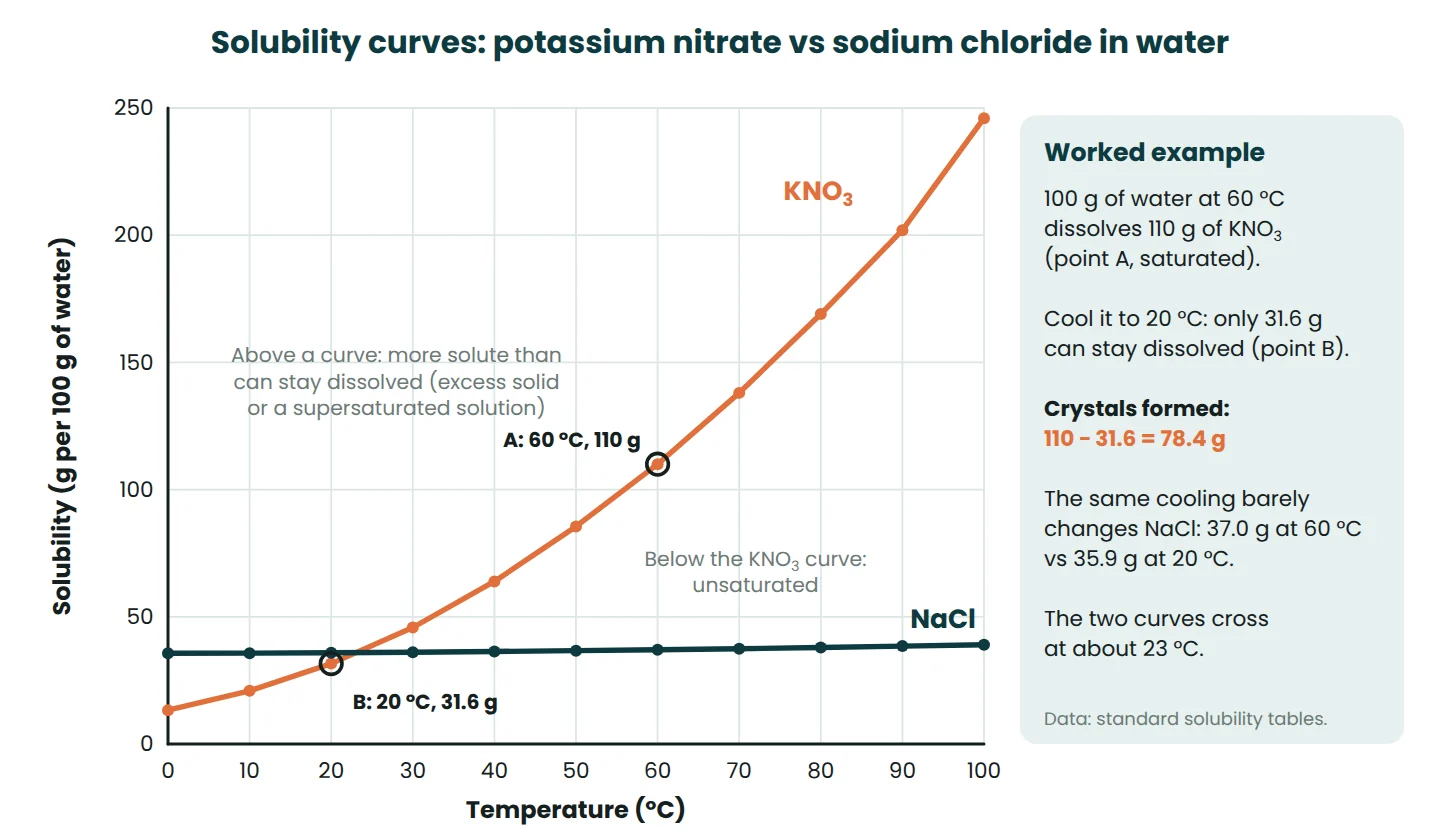Solubility curves for potassium nitrate and sodium chloride in water from 0 to 100 °C with a cooling example from 60 °C to 20 °C