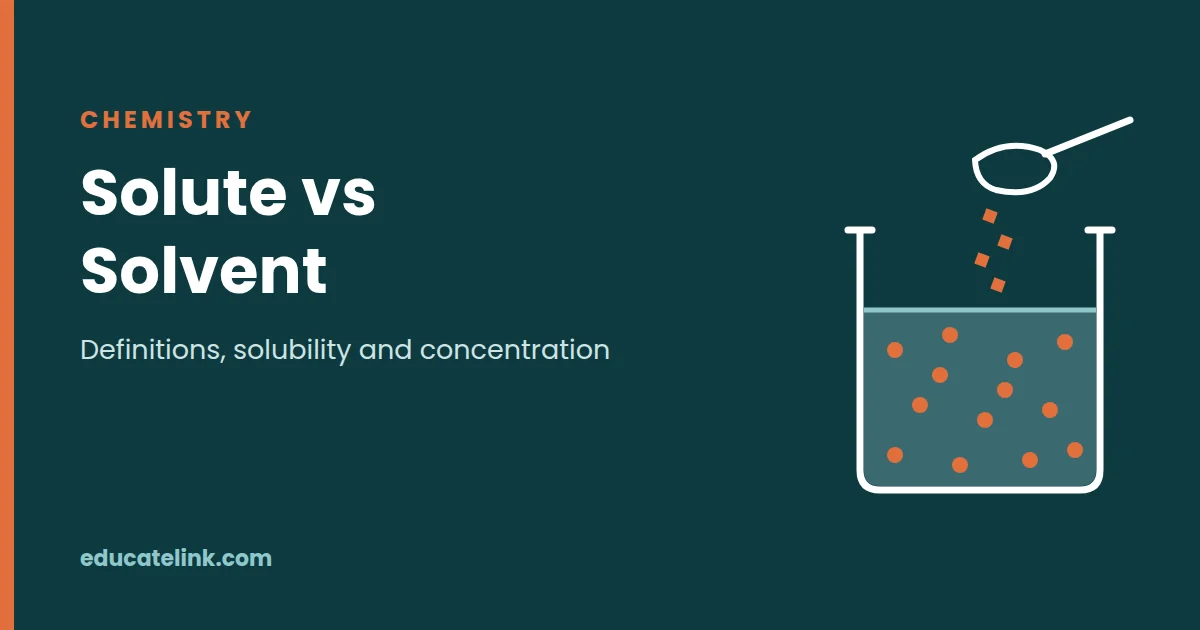 Solute vs Solvent: Definitions, Main Differences, Examples and Concentration Calculations