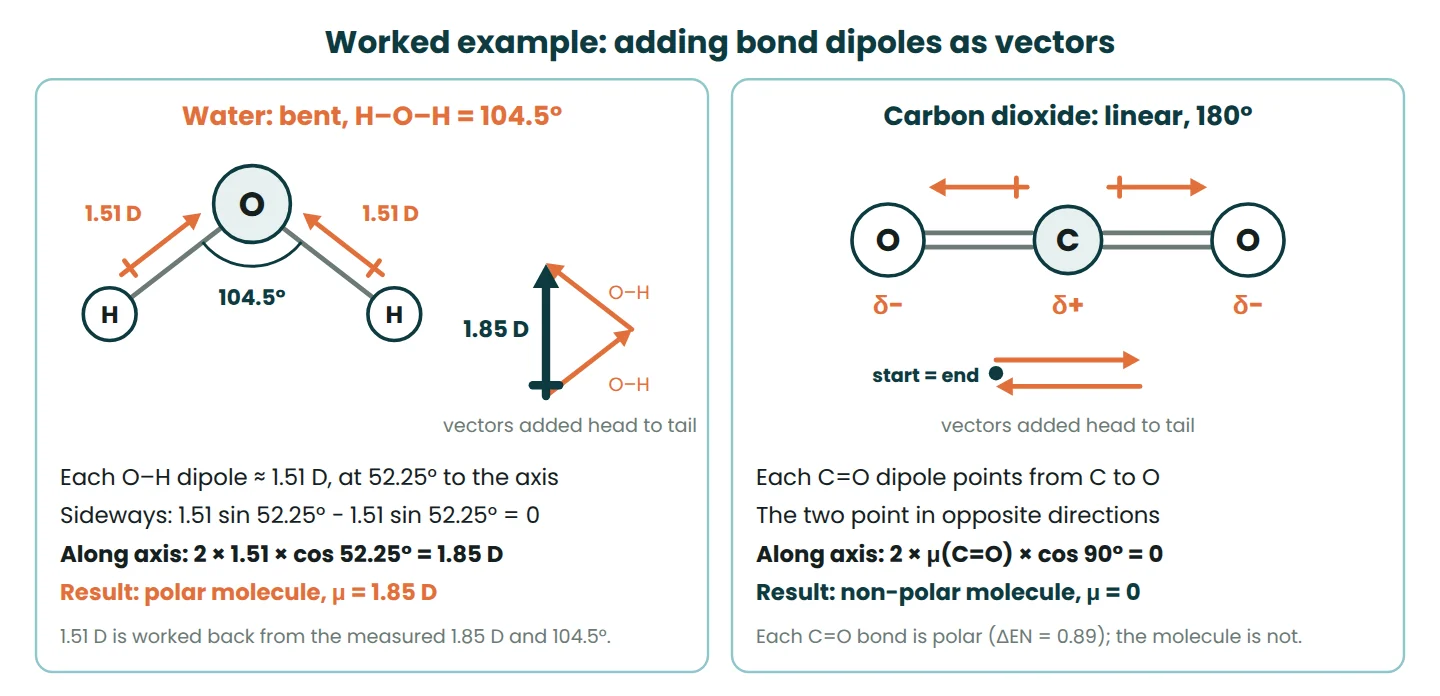 Worked vector addition showing two O–H bond dipoles adding to 1.85 D in bent water and two C=O dipoles cancelling in linear CO2